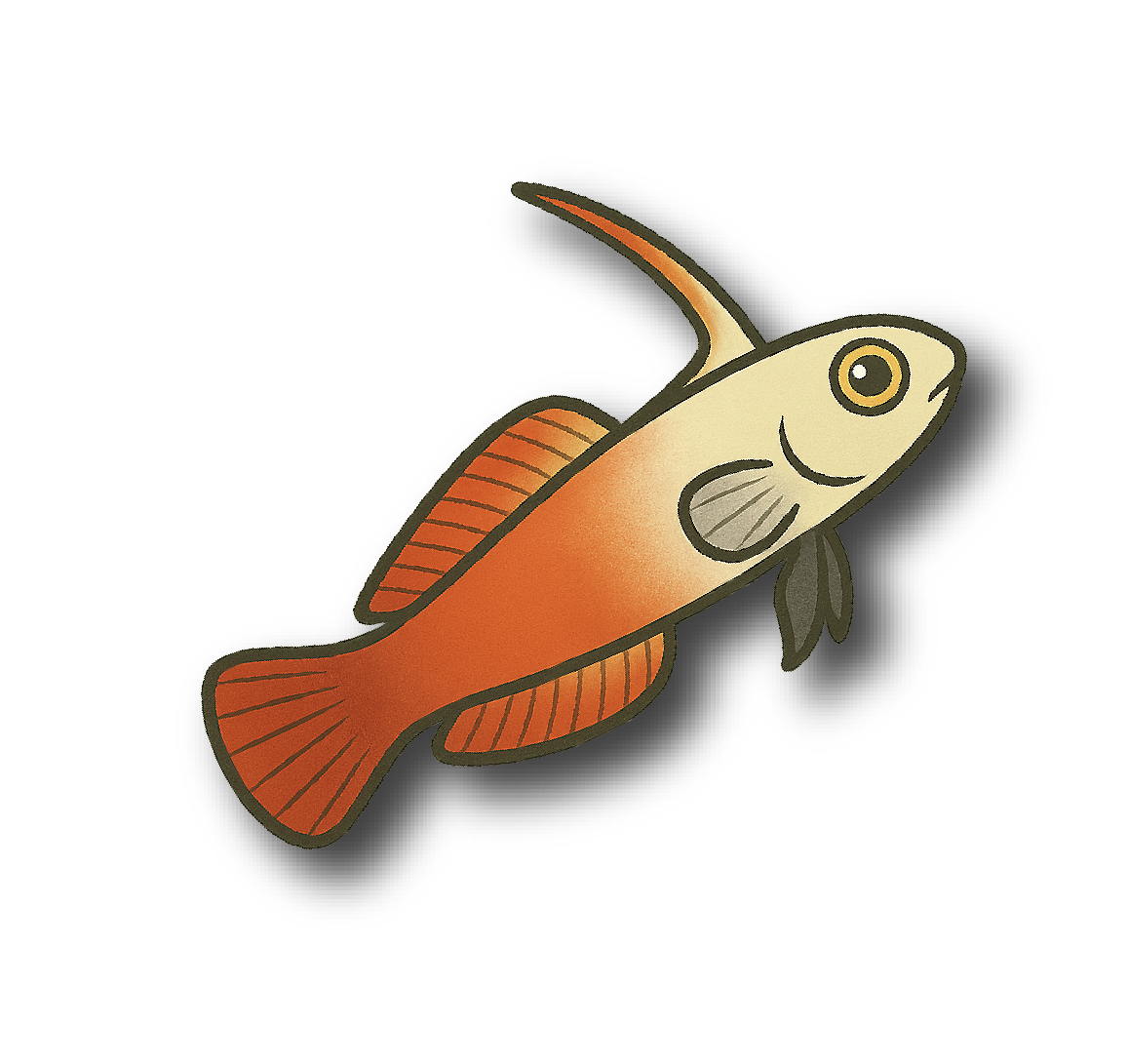 Firefish Goby