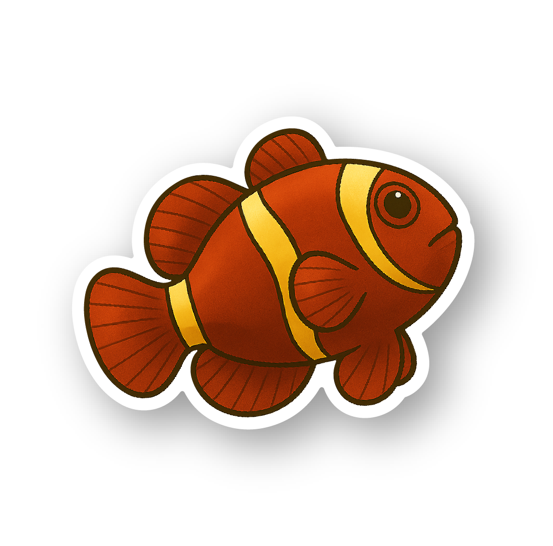 Maroon Clownfish