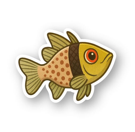 Pajama Cardinalfish