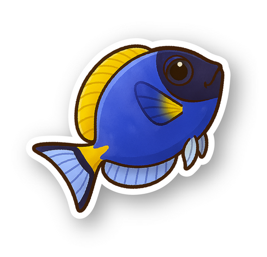 Powder Blue Tang
