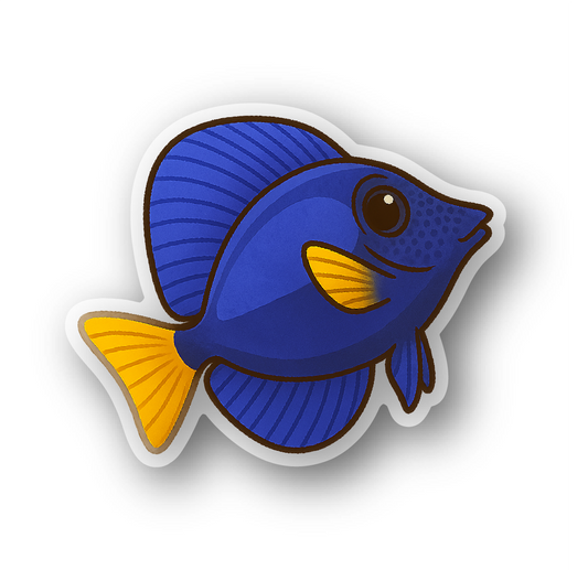 Purple Tang